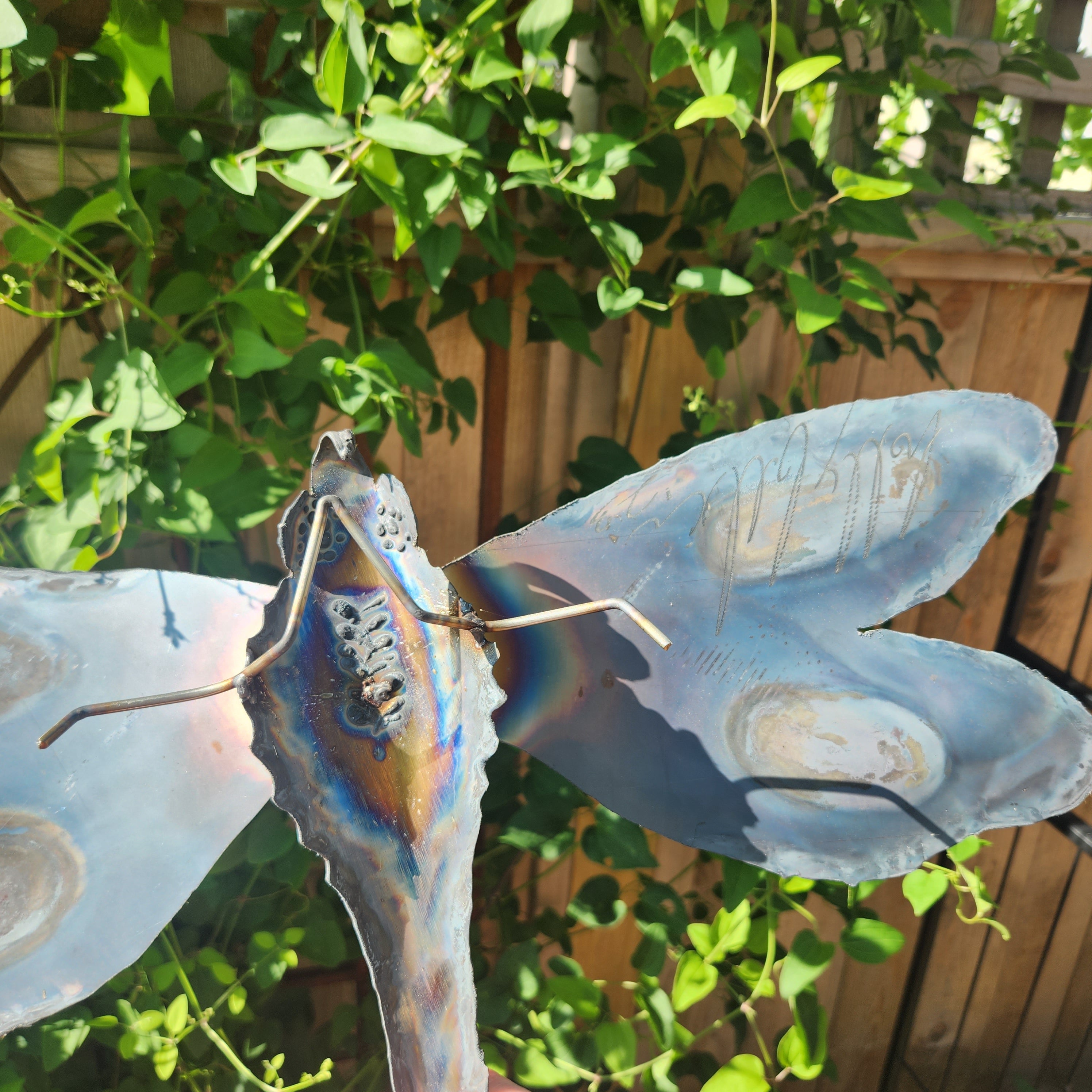 Dragonfly Wall Sculpture - Heart of the Home LV