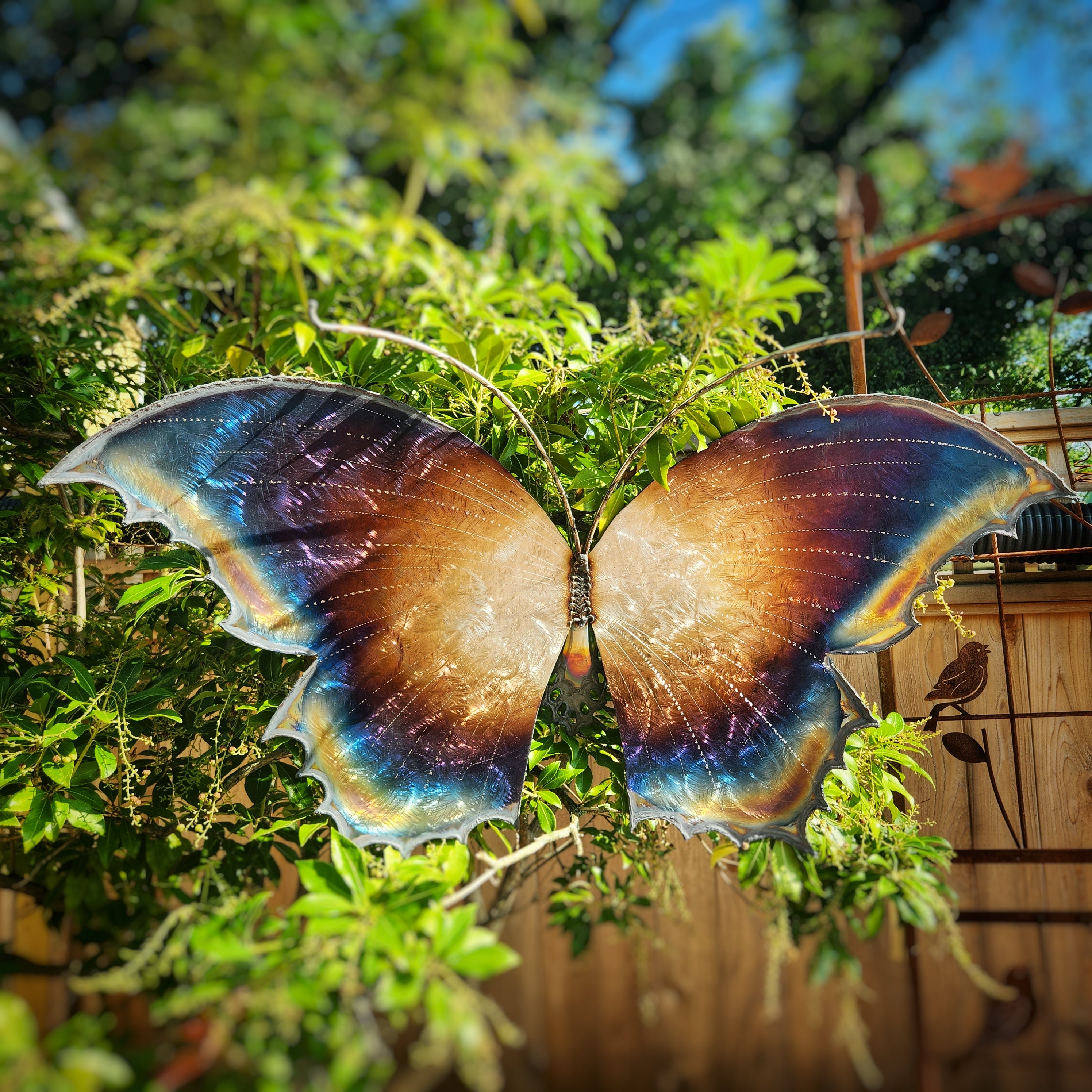 Ombre Scalloped Rainbow Butterfly Large Wall Sculpture - Heart of the Home LV