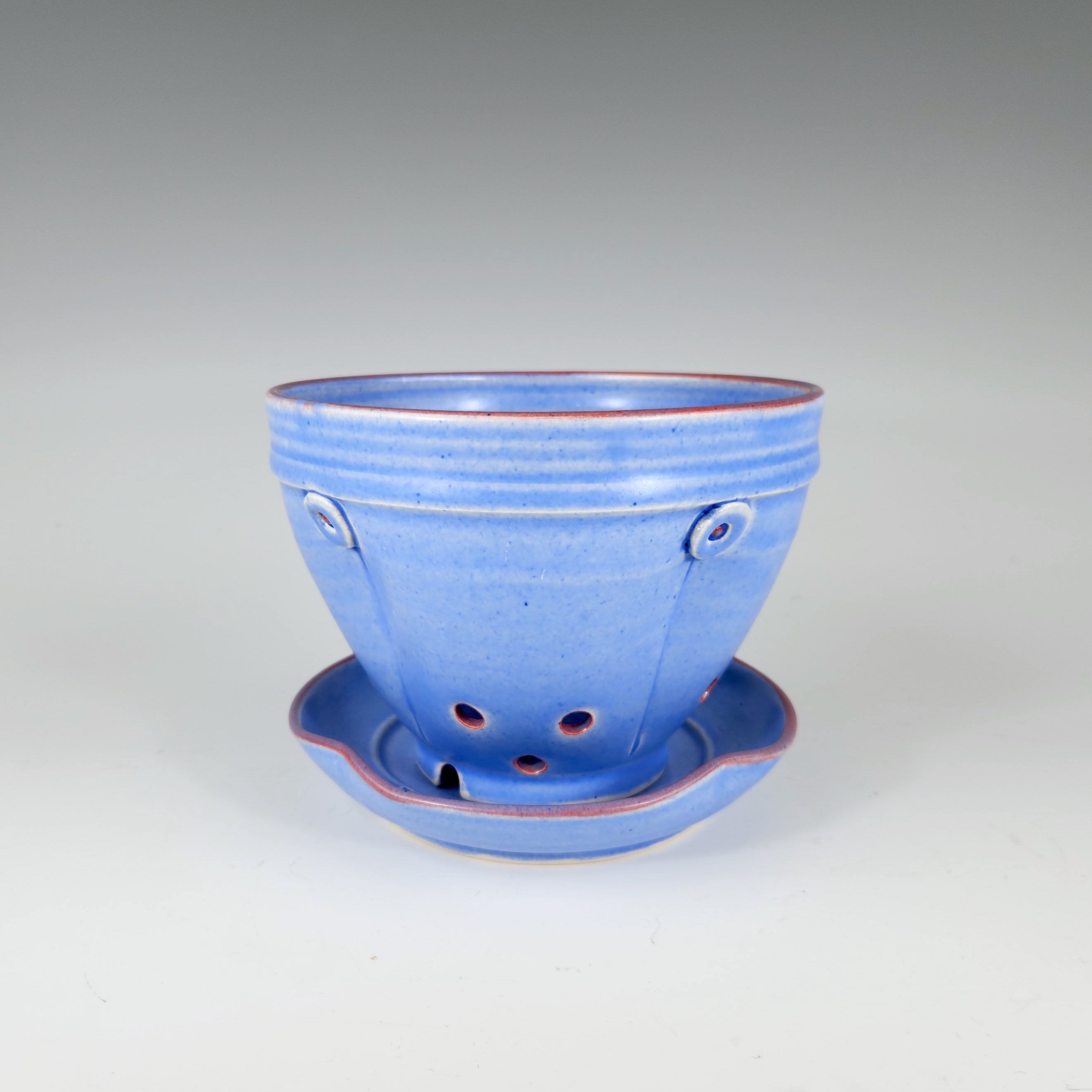 Button Berry Bowl in Blue - Heart of the Home LV