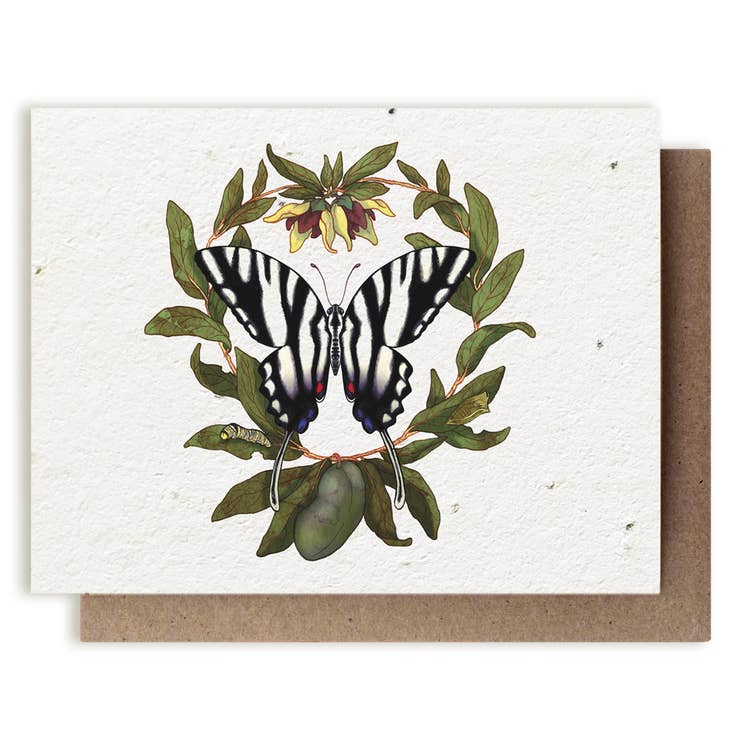 Zebra Swallowtail Butterfly And Pawpaw Plantable Herb Card - Heart of the Home LV
