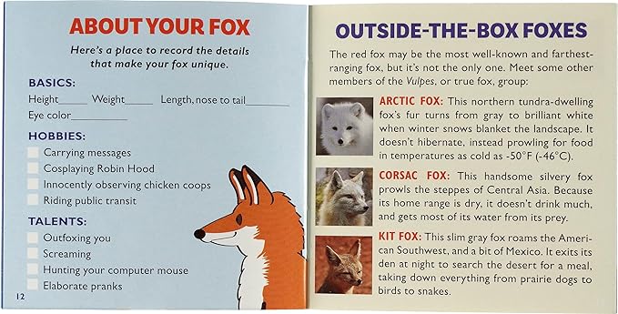 Hug A Fox Kit - Heart of the Home LV