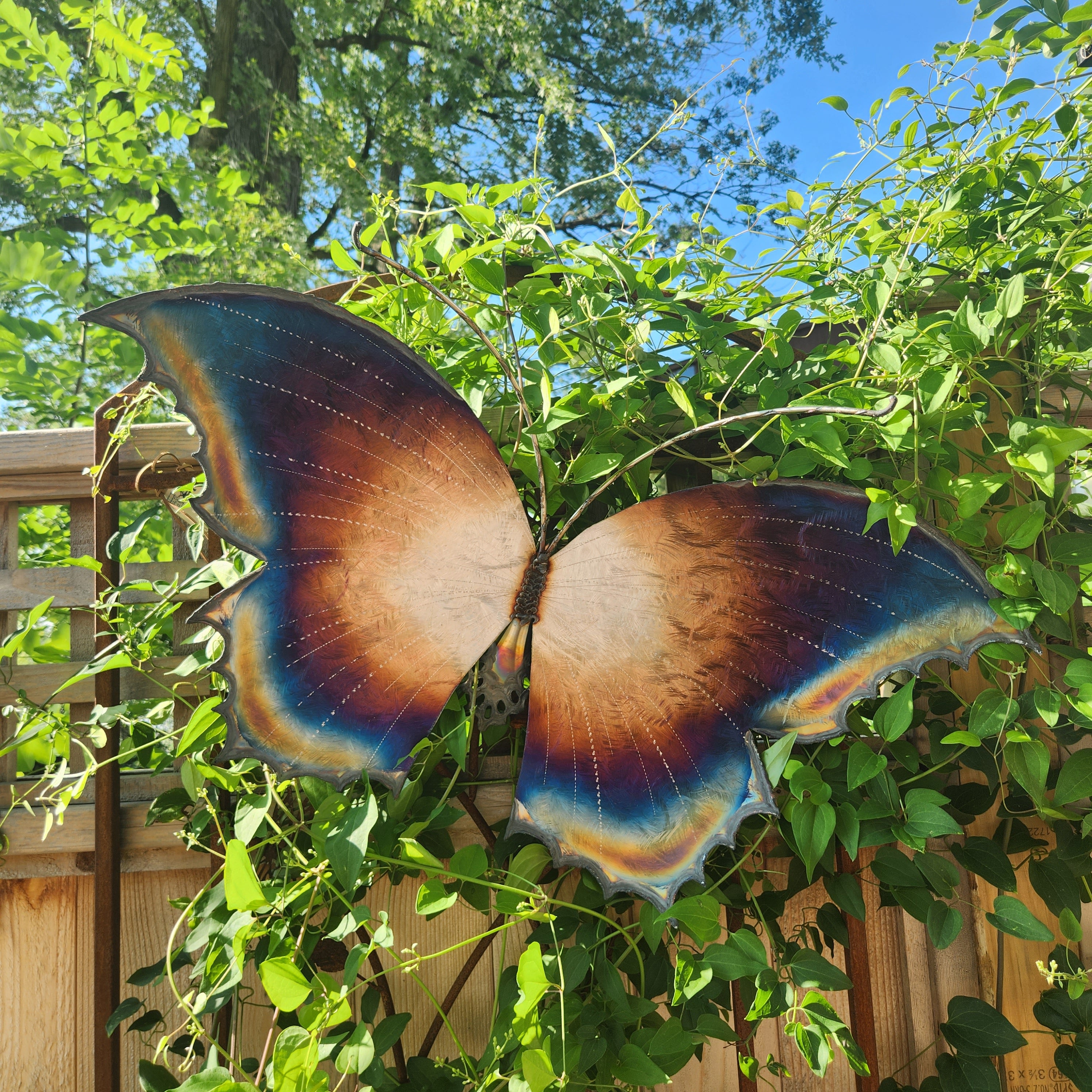 Ombre Scalloped Rainbow Butterfly Large Wall Sculpture - Heart of the Home LV