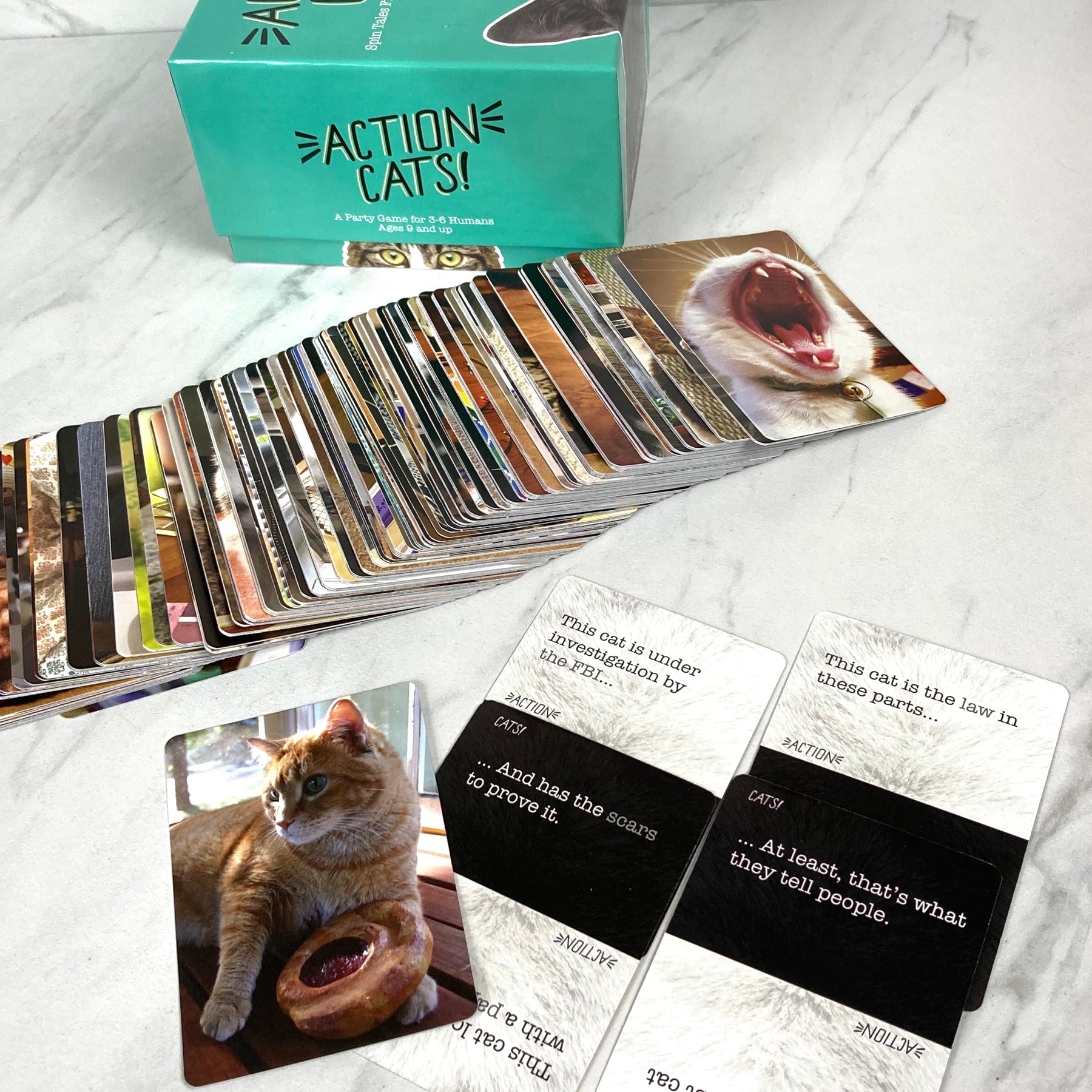 Action Cats Game - Heart of the Home LV