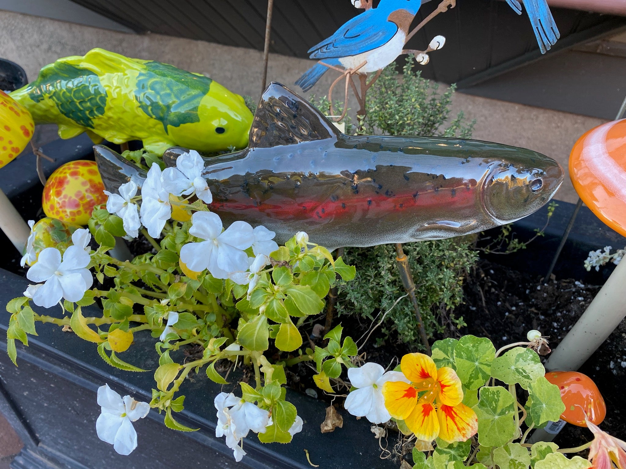 Rainbow Trout Garden Fish - Heart of the Home LV
