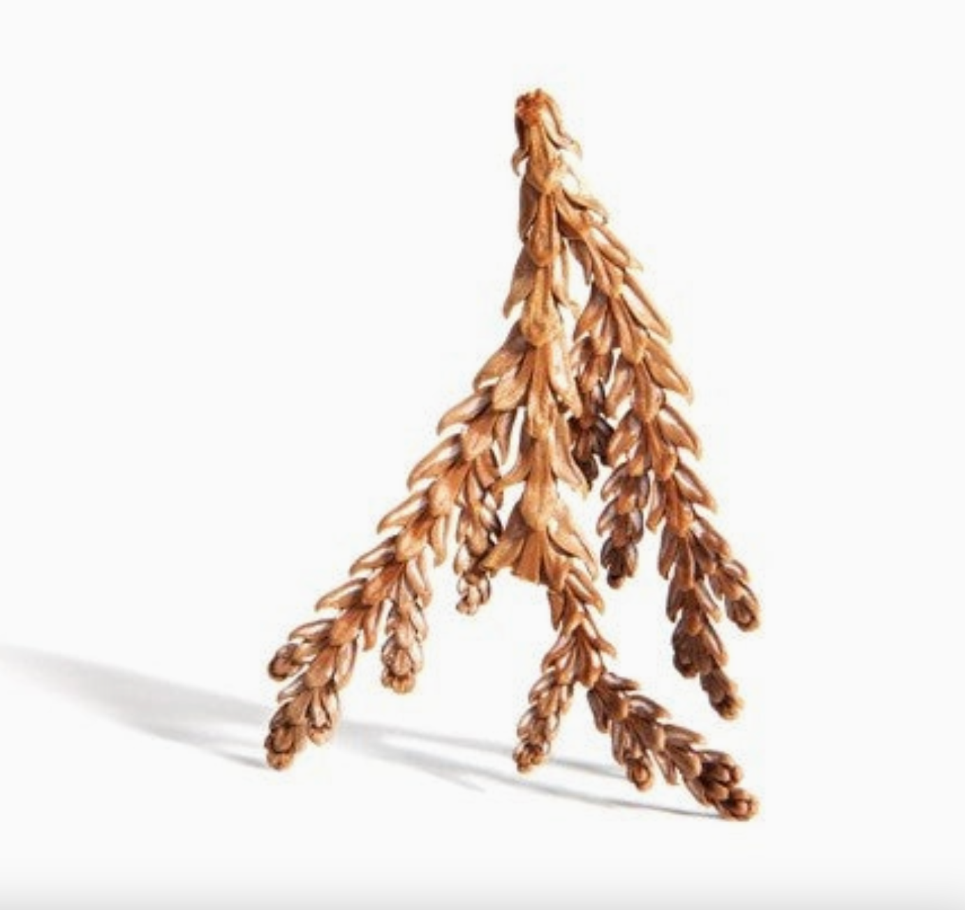 Deerhorn Cedar Pendant in Bronze - Heart of the Home Inc