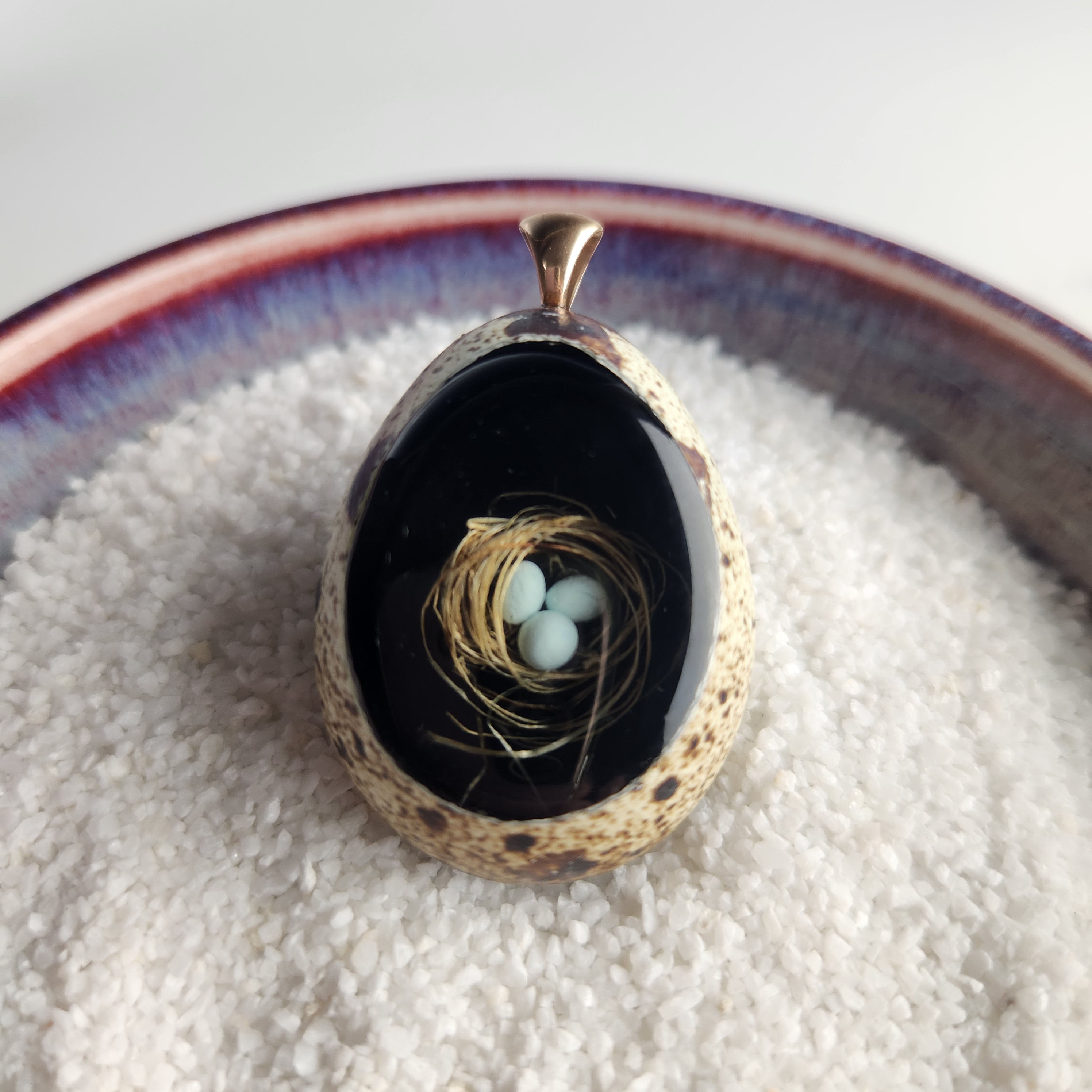 Black with Blue Eggs Quail Egg - Heart of the Home Inc