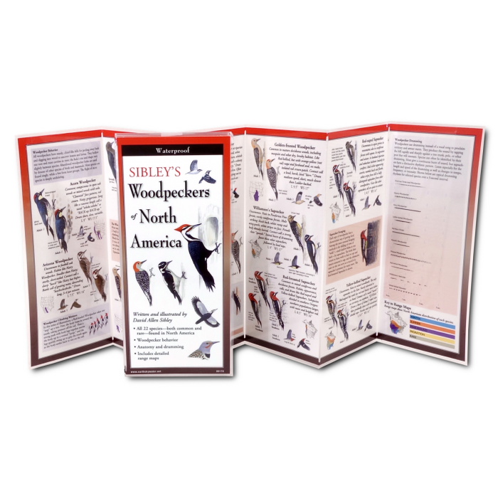 Sibley's Woodpeckers of North America Foldable Guide - Heart of the Home LV