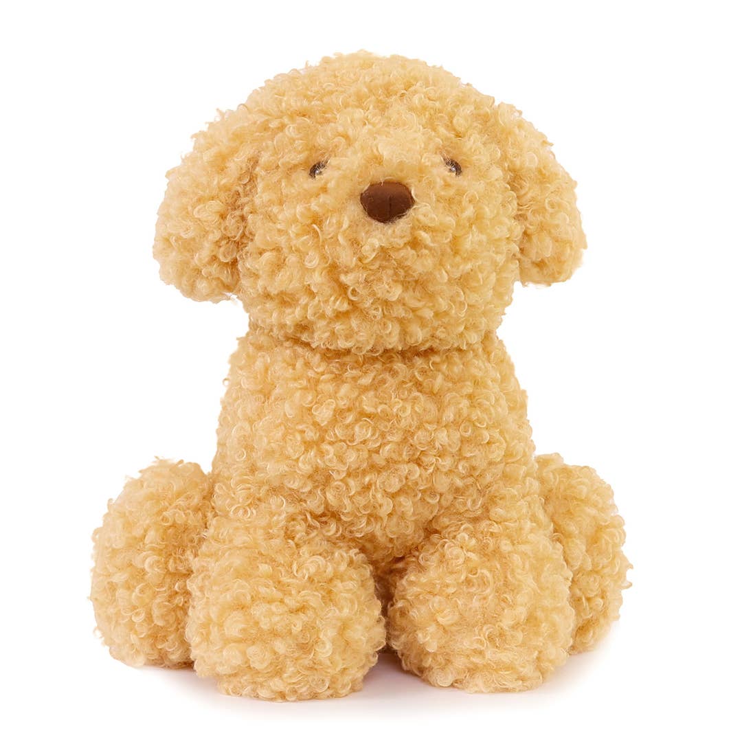 Luca Labradoodle - Heart of the Home LV