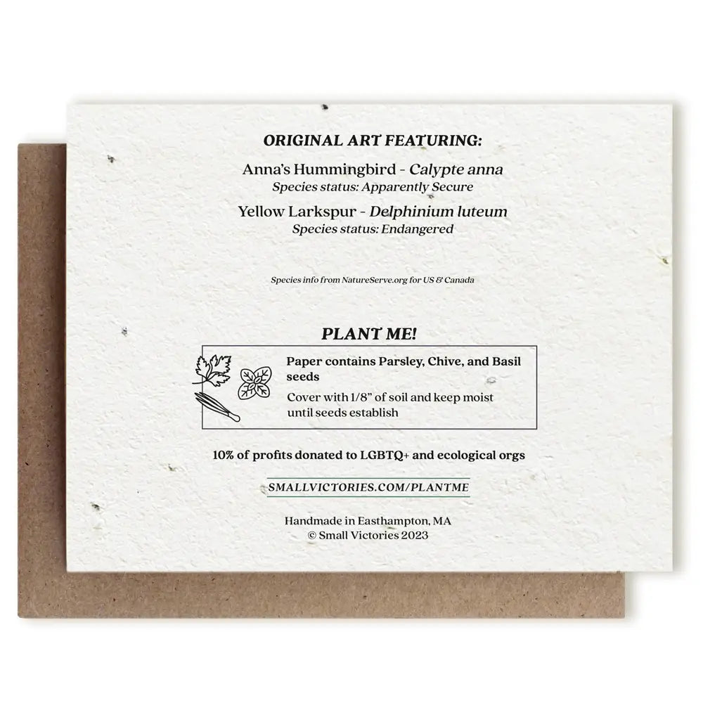 Anna's Hummingbird & Yellow Larkspur Plantable Card - Heart of the Home Inc