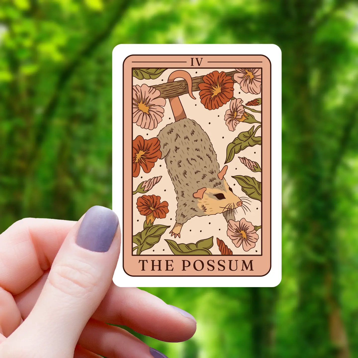 Possum Tarot Sticker - Heart of the Home LV