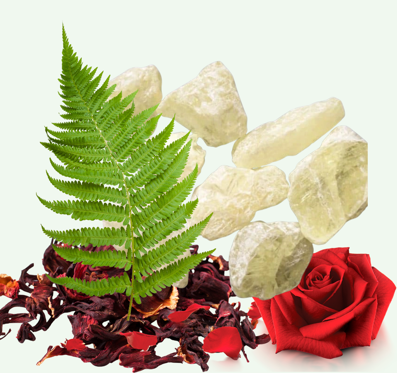 Garden Grove Bar Soap - Heart of the Home Inc