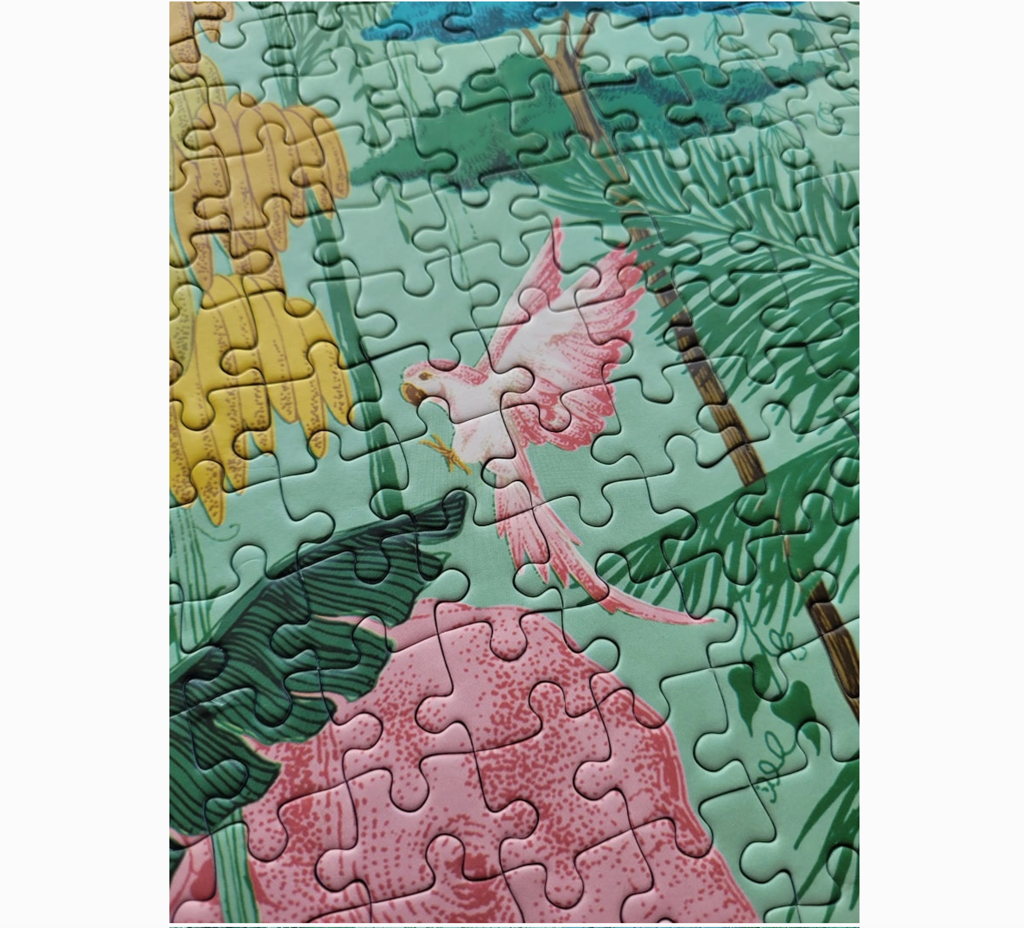 Jungle Animals 1000 Piece Puzzle - Heart of the Home Inc