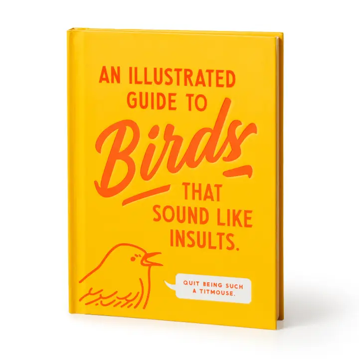 The Illustrated Guide to Birds that Sound Like Insults