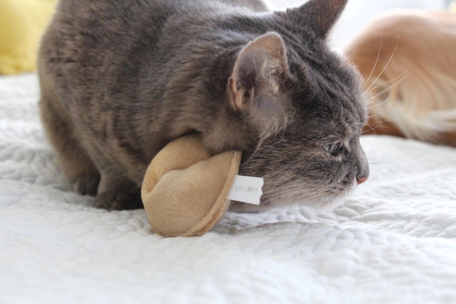 Kraken Catnip Toy