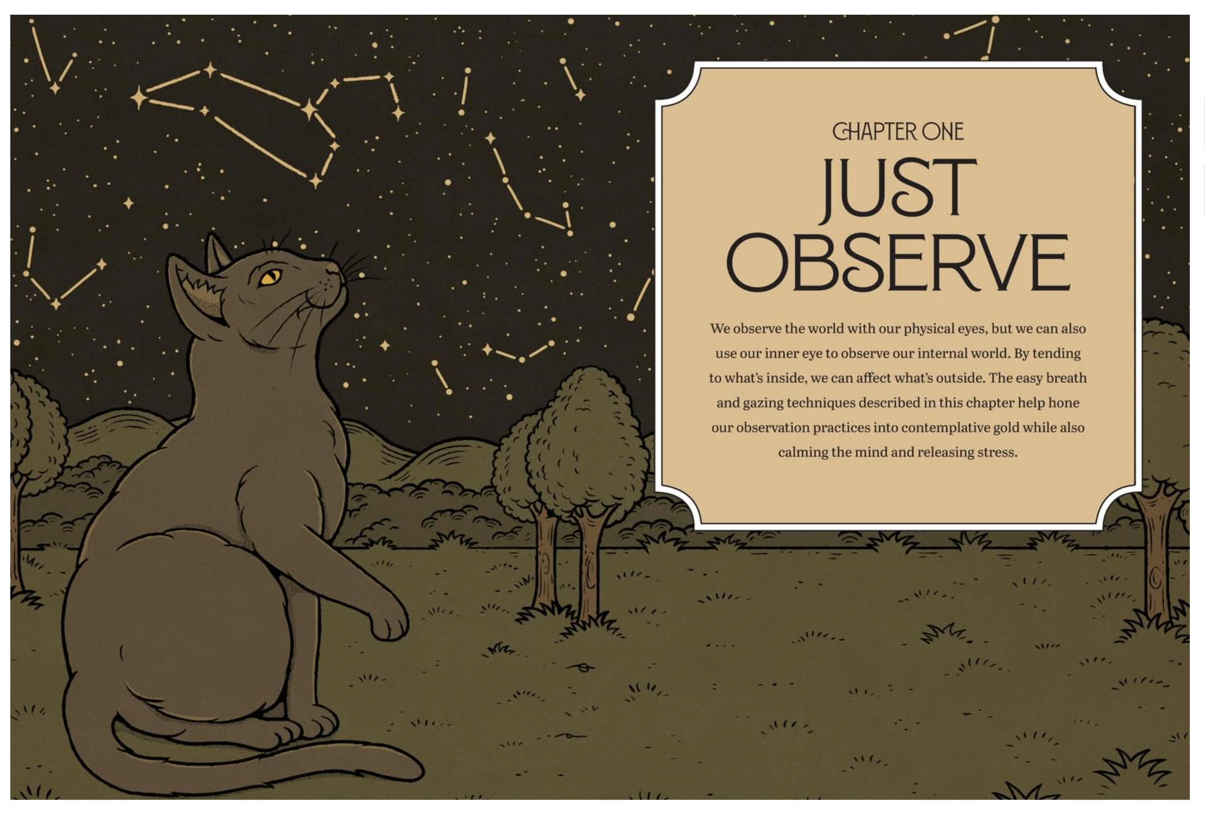 Mystic Kitty: A Cat's Guide to Meditation (Cats Rule the Earth Tarot) - Heart of the Home Inc