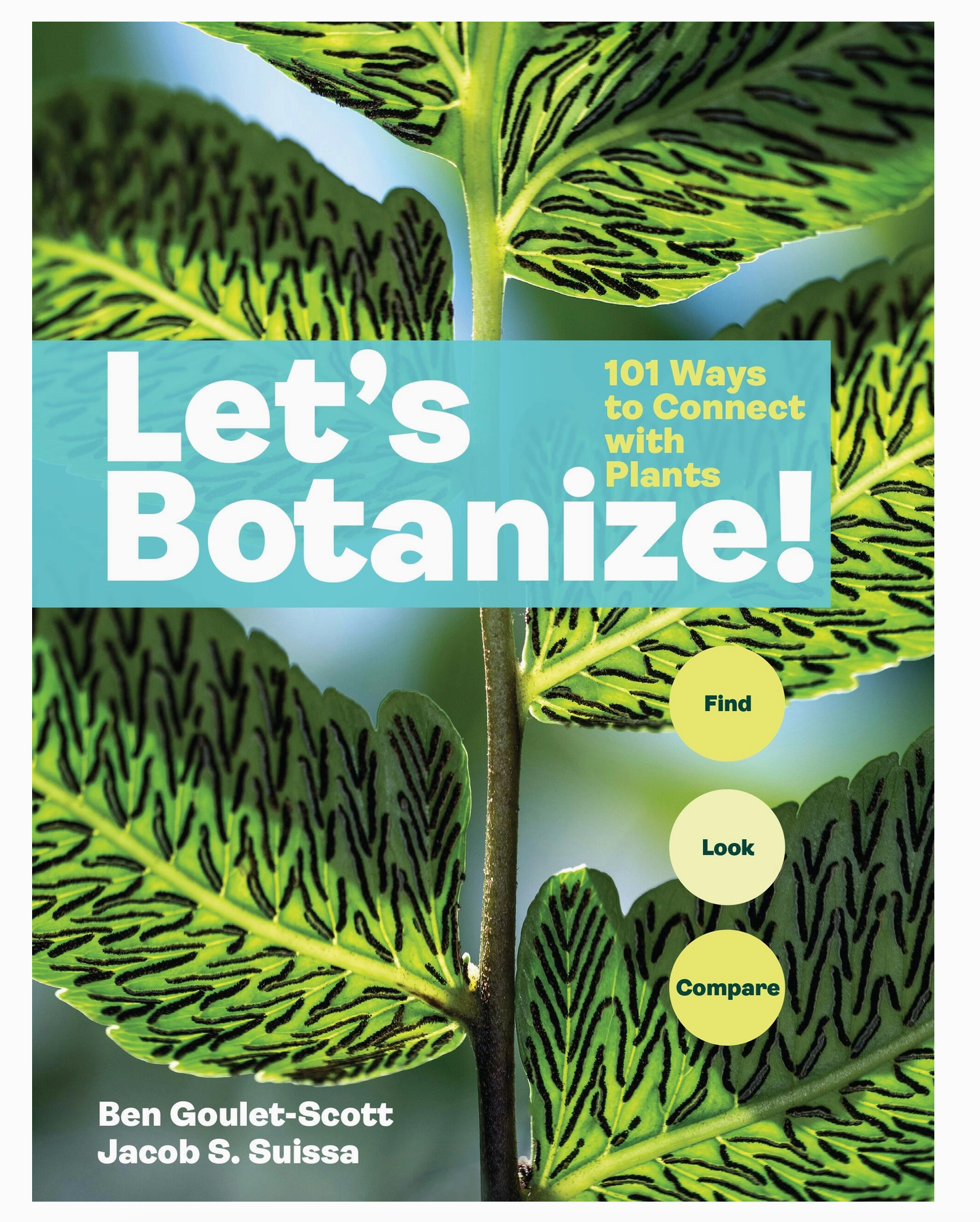 Let's Botanize - Heart of the Home Inc