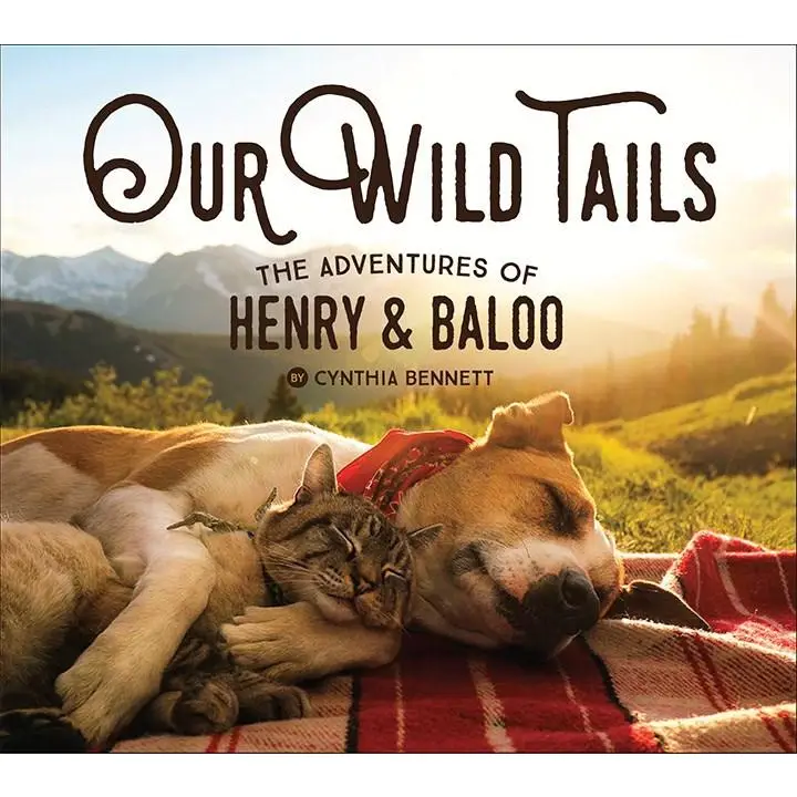 Our Wild Tails : the Adventures of Henry & Baloo - Heart of the Home Inc