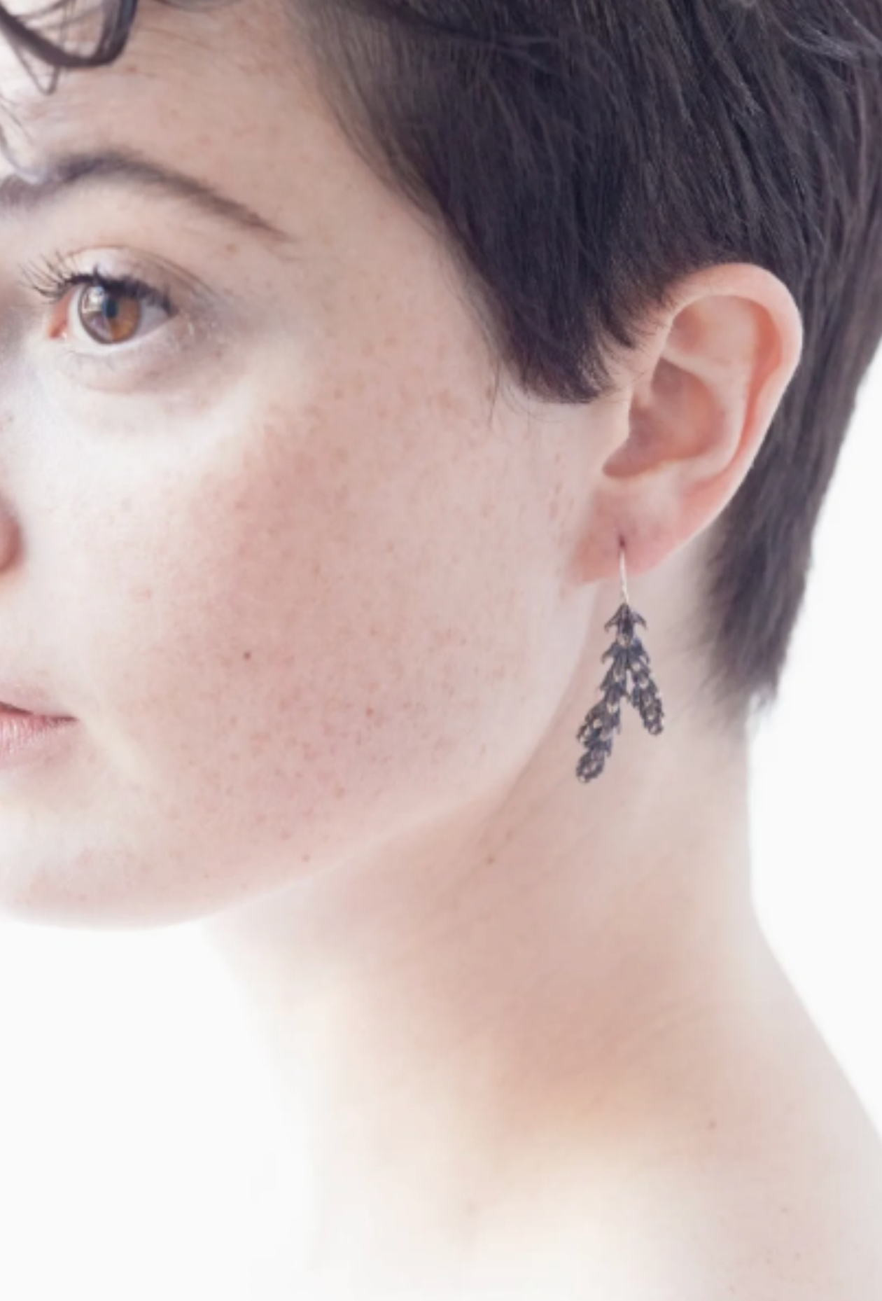 Warm Deerhorn Cedar Medium French Hook Earrings