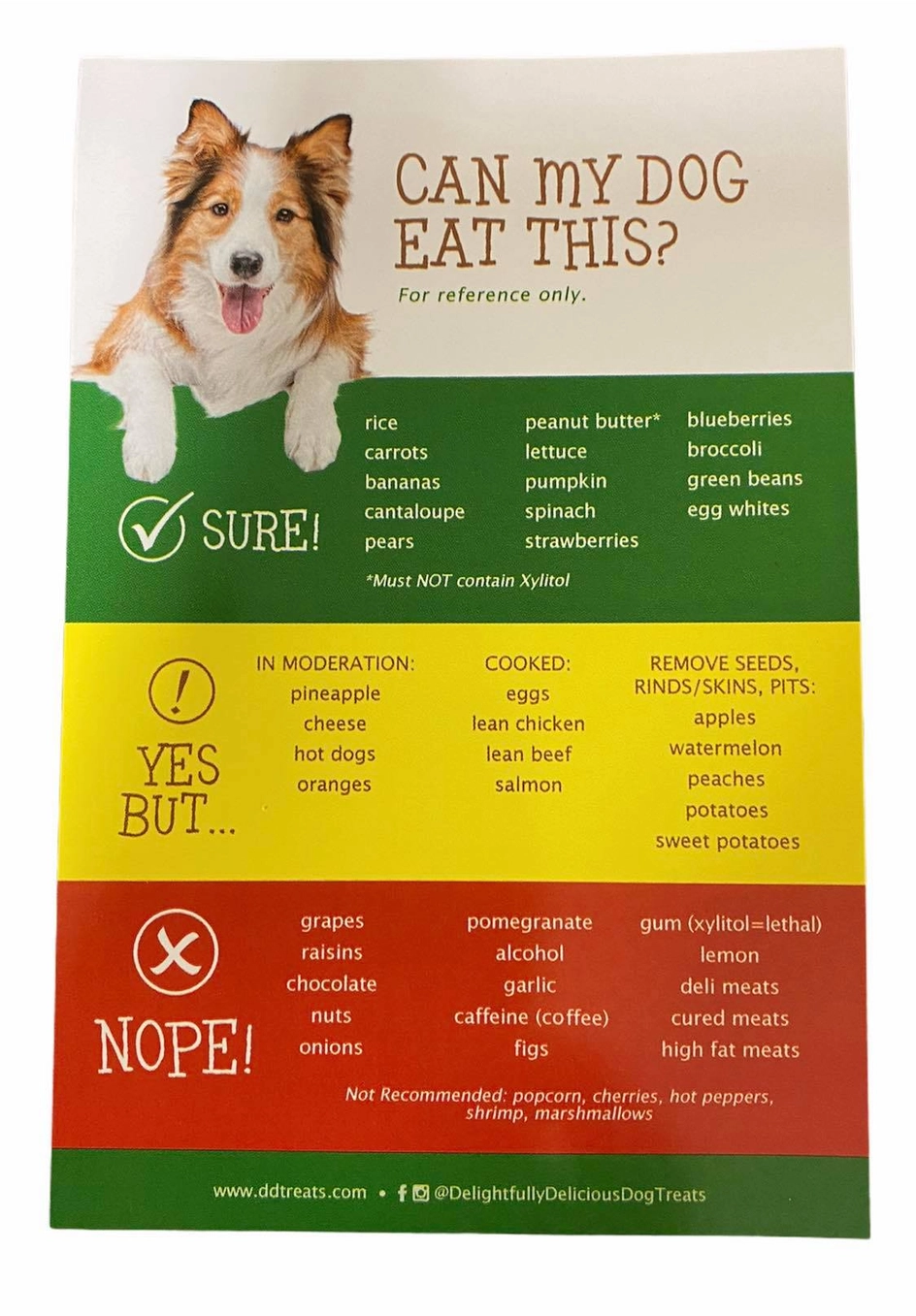 Dog Safe/Unsafe Foods Magnet - Heart of the Home Inc
