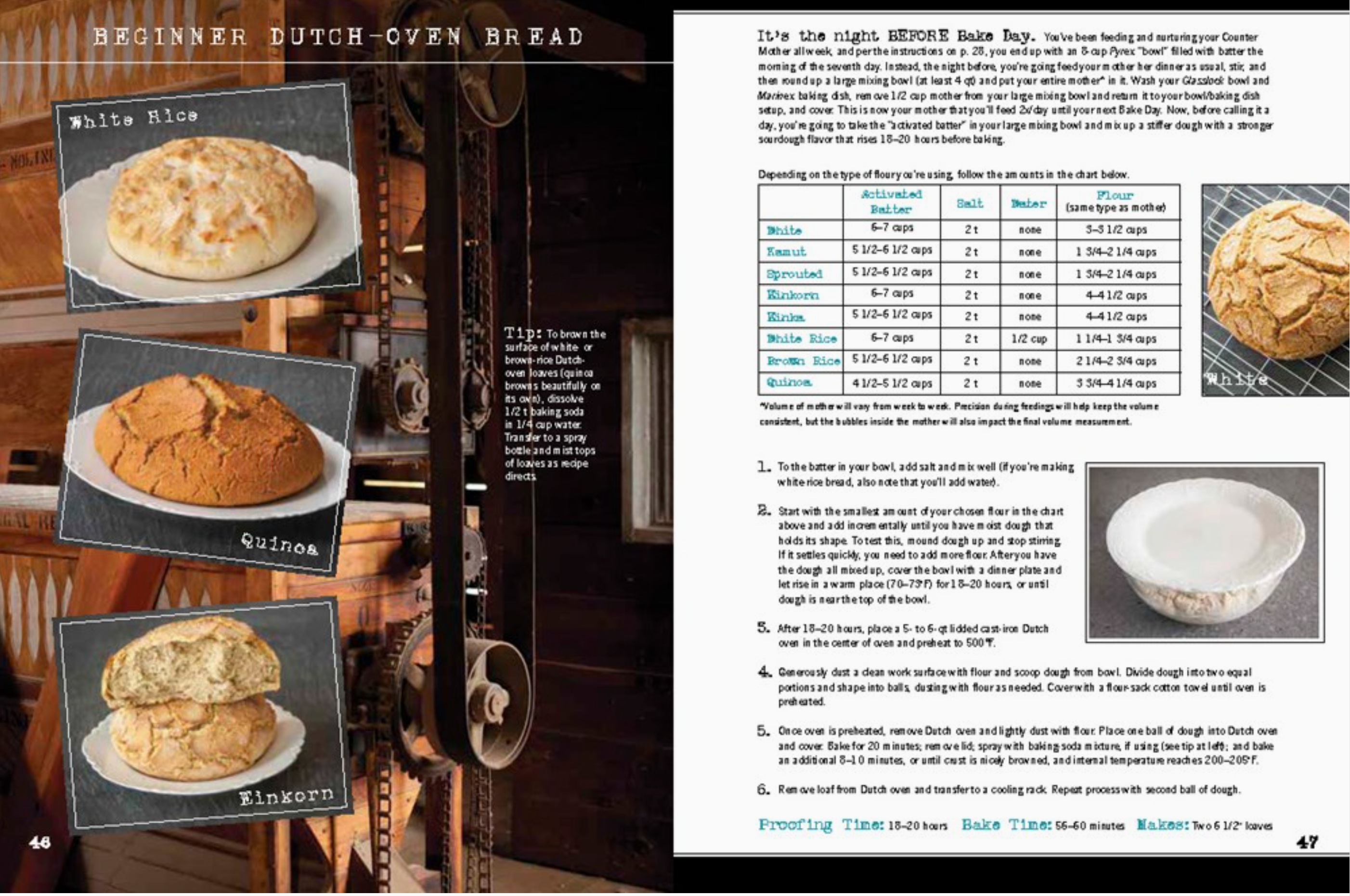 Wild Bread: Sourdough Reinvented Cookbook - Heart of the Home Inc