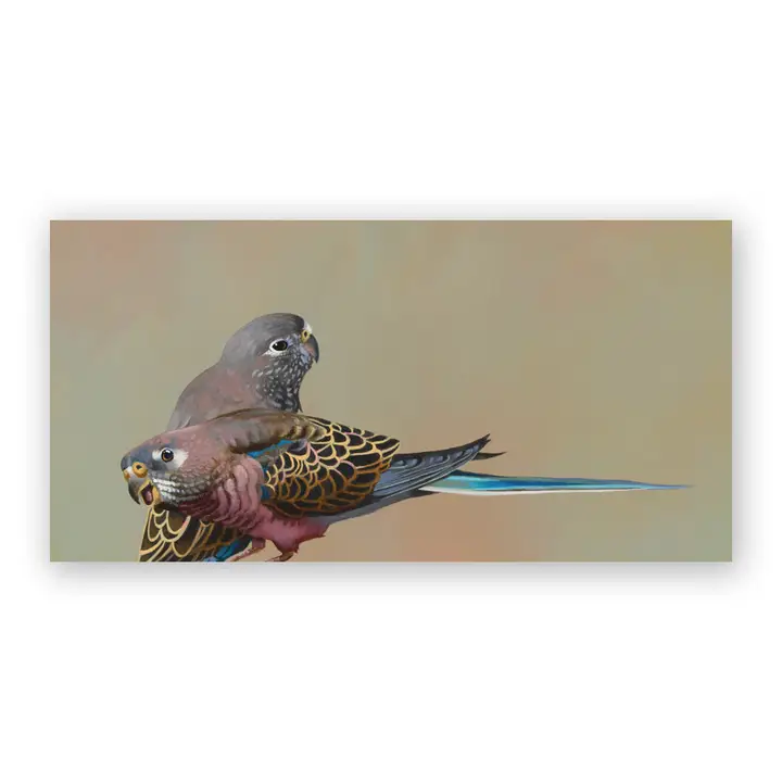 Bourke's Parrots Wall Art