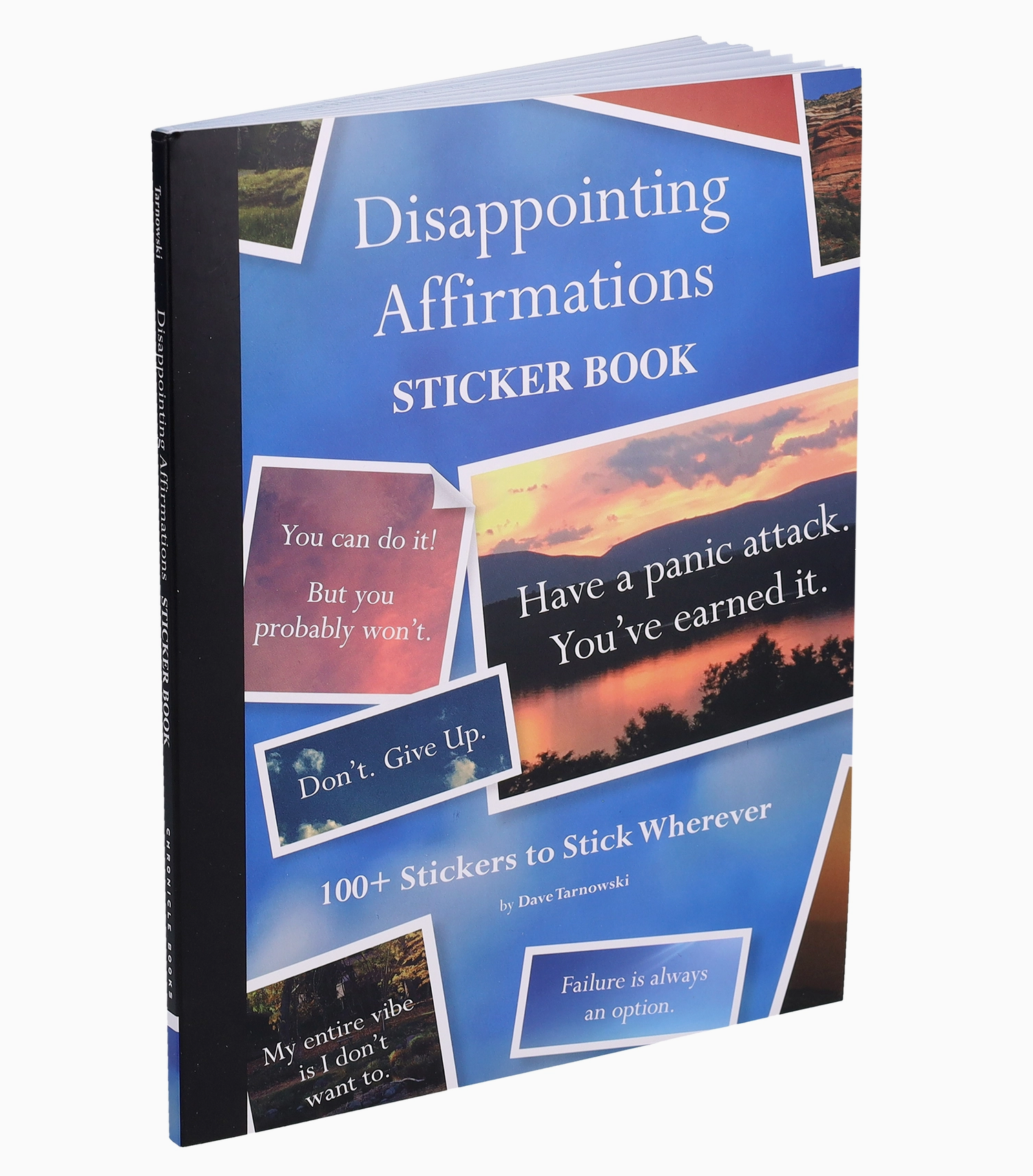 Disapponting Affirmations Sticker Book - Heart of the Home Inc