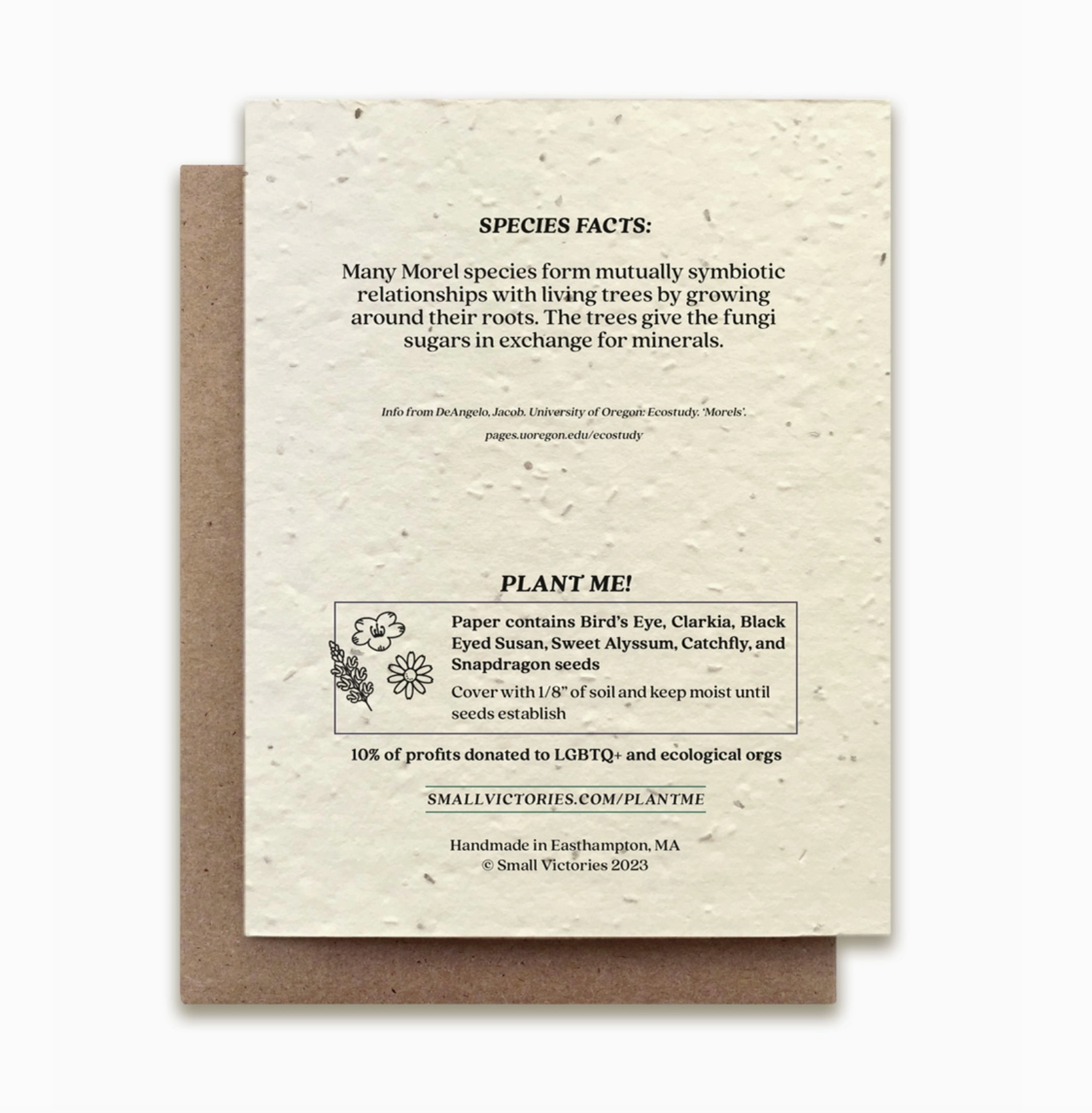 Morel Mushroom Plantable Wildflower Seed Card - Heart of the Home LV