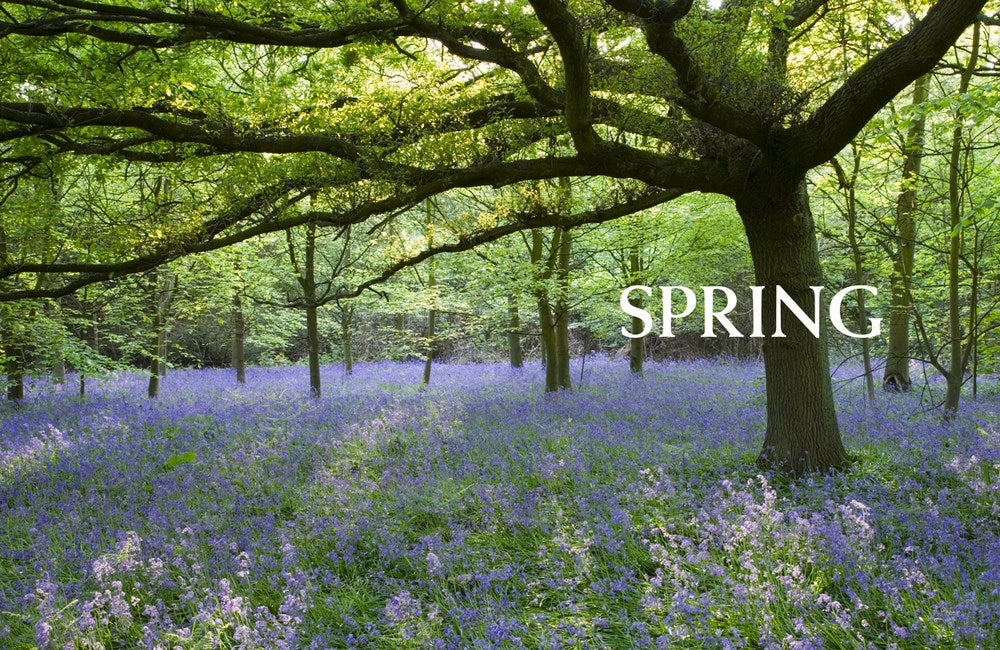 Nature’s Wonders: Moments that Mark the Seasons - Heart of the Home Inc