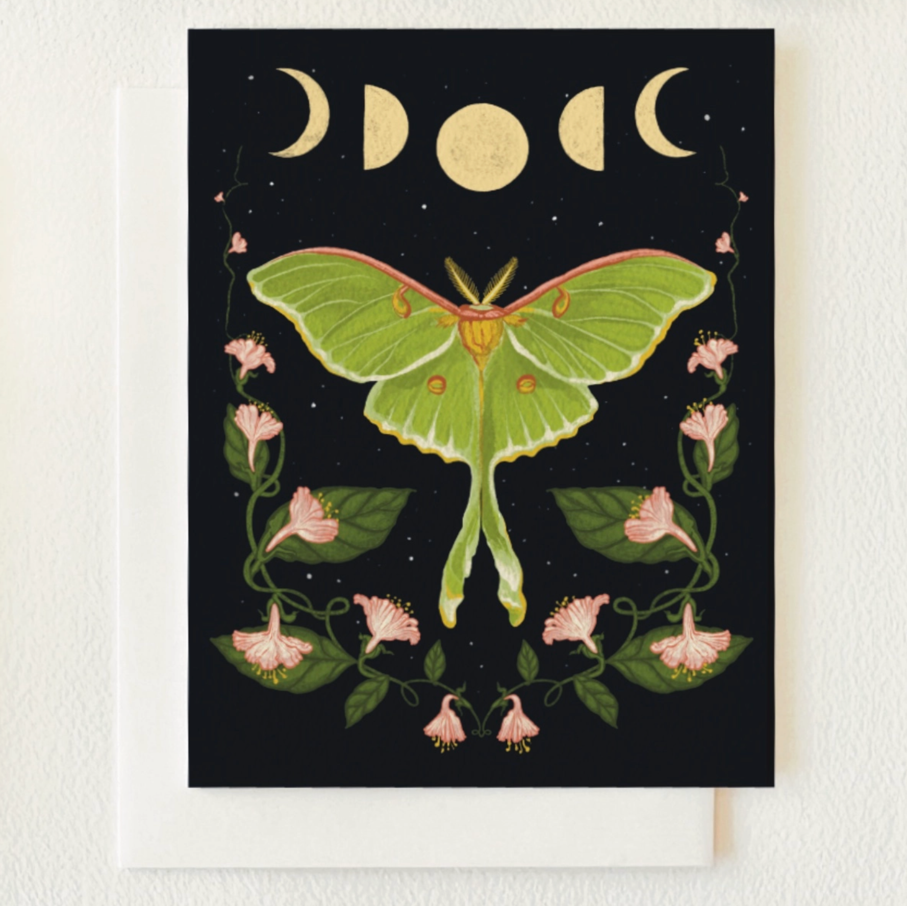 Luna Moth Moon Phases Blank Card - Heart of the Home Inc