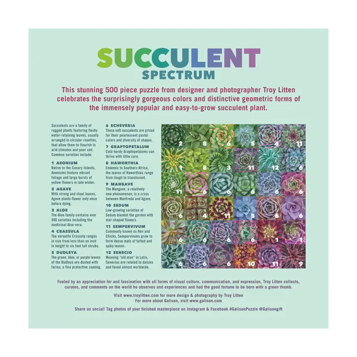 Succulent Spectrum 500pc Puzzle