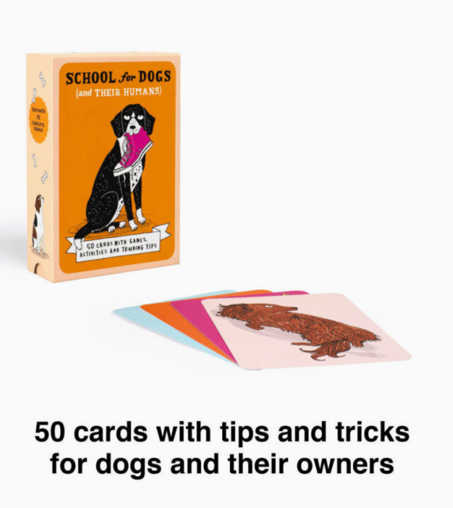 School For Dogs (and their Humans): Fifty cards with tips and tricks for dogs and their owners - Heart of the Home Inc