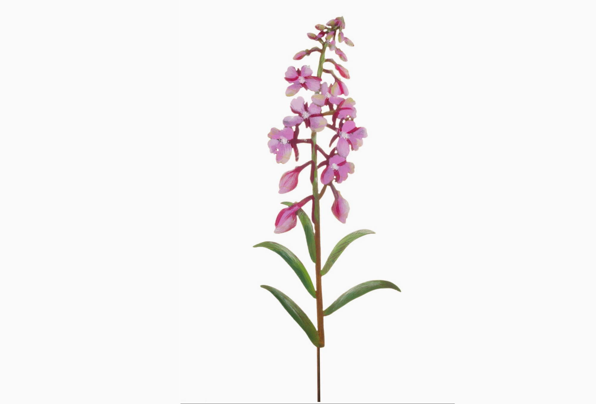 Fireweed Flower Pick - Heart of the Home LV