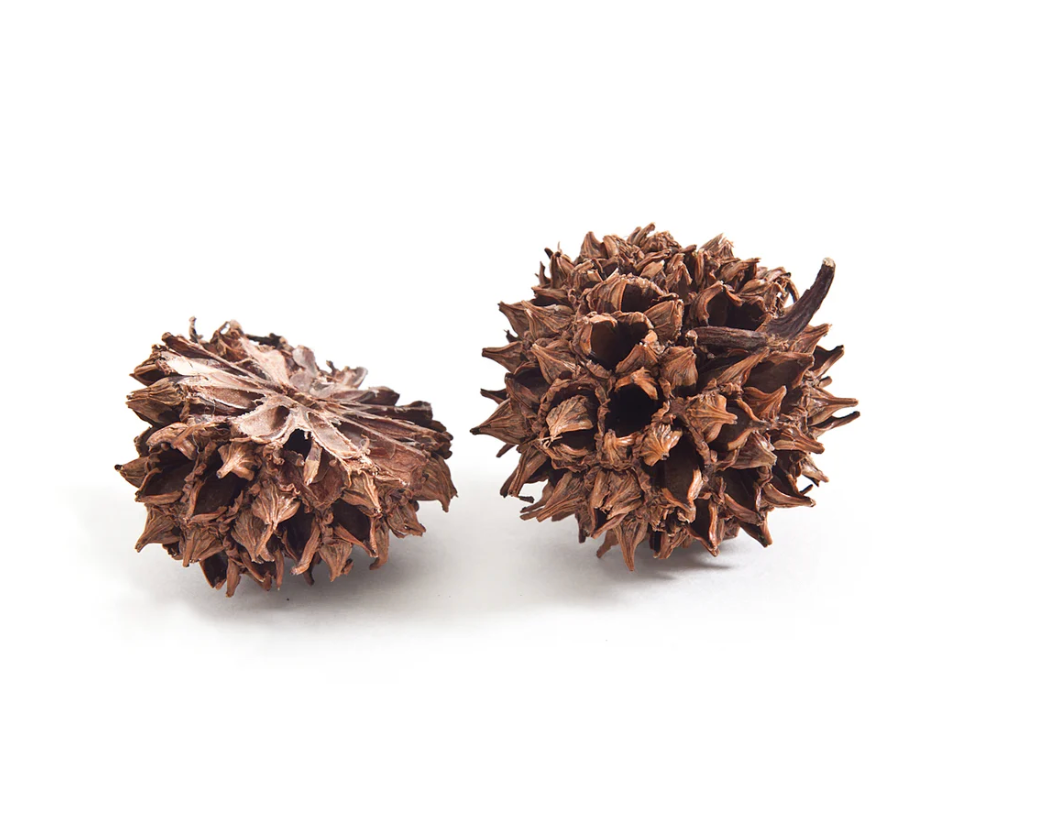 Sweetgum Slice Pendant Necklace - 1 Inch - Heart of the Home Inc