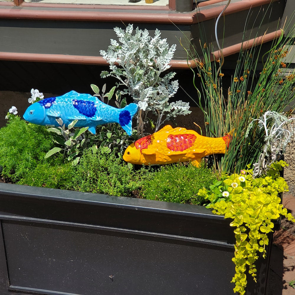 Ocean Blue Garden Koi - Heart of the Home PA