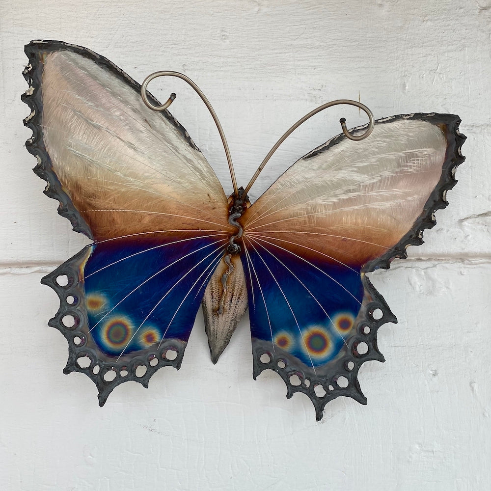 Small Lace Edge Butterfly Wall Sculpture - Dotted Tail - Heart of the Home PA