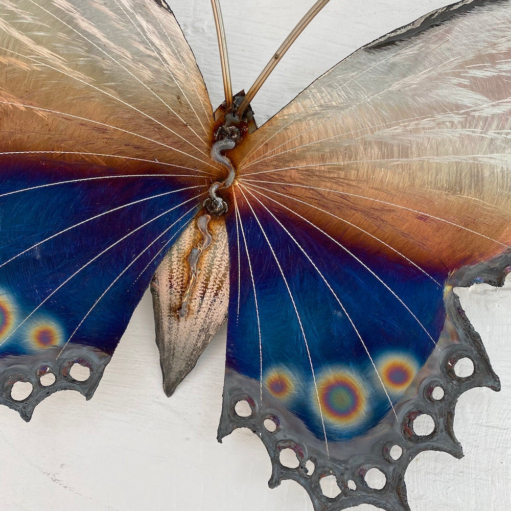 Small Lace Edge Butterfly Wall Sculpture - Dotted Tail - Heart of the Home PA