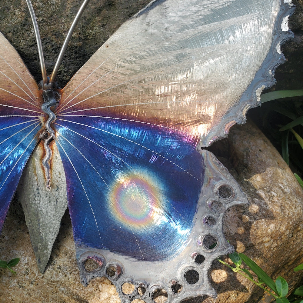 Small Lace Edge Butterfly Wall Sculpture - Lower Eye Spot - Heart of the Home PA