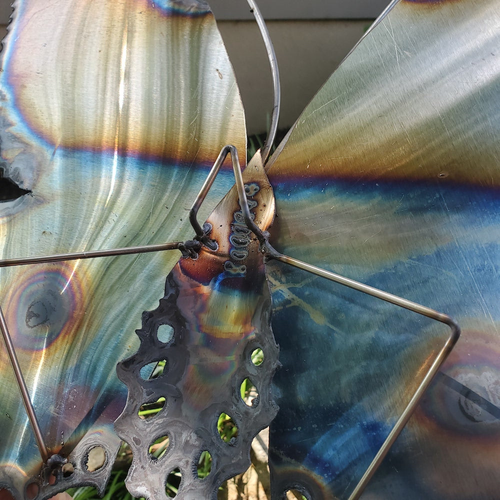 Blue Butterfly Eye Spot Medium Wall Sculpture - Heart of the Home PA