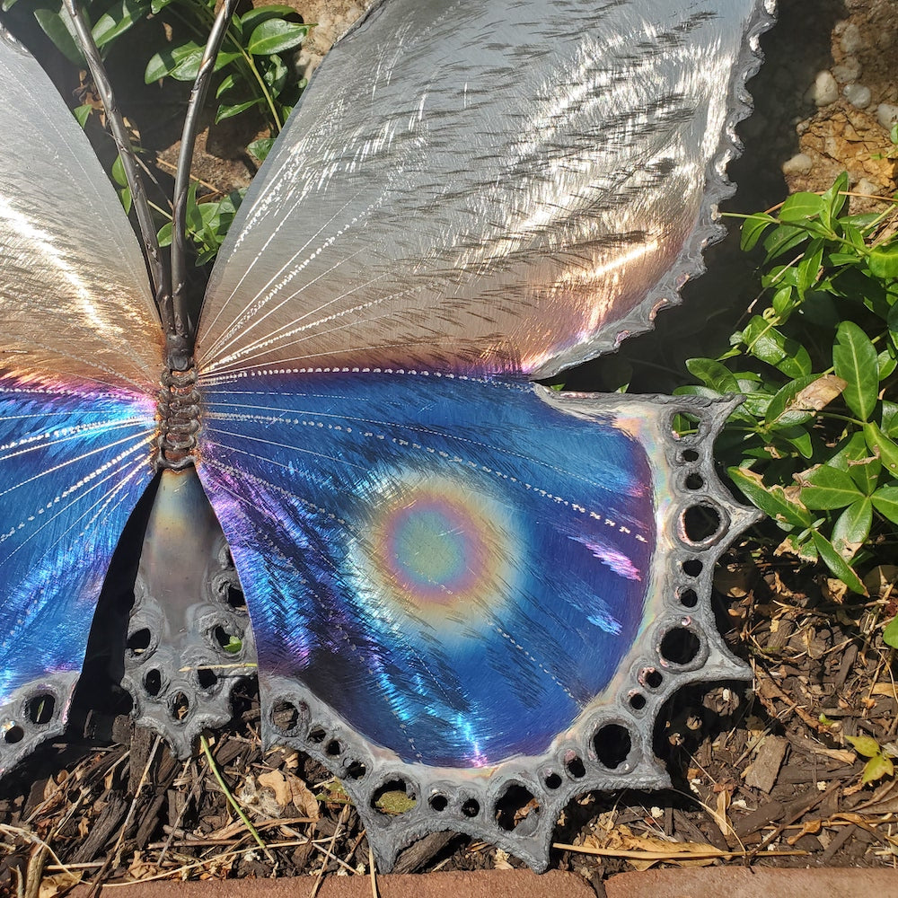 Blue Butterfly Eye Spot Medium Wall Sculpture - Heart of the Home PA