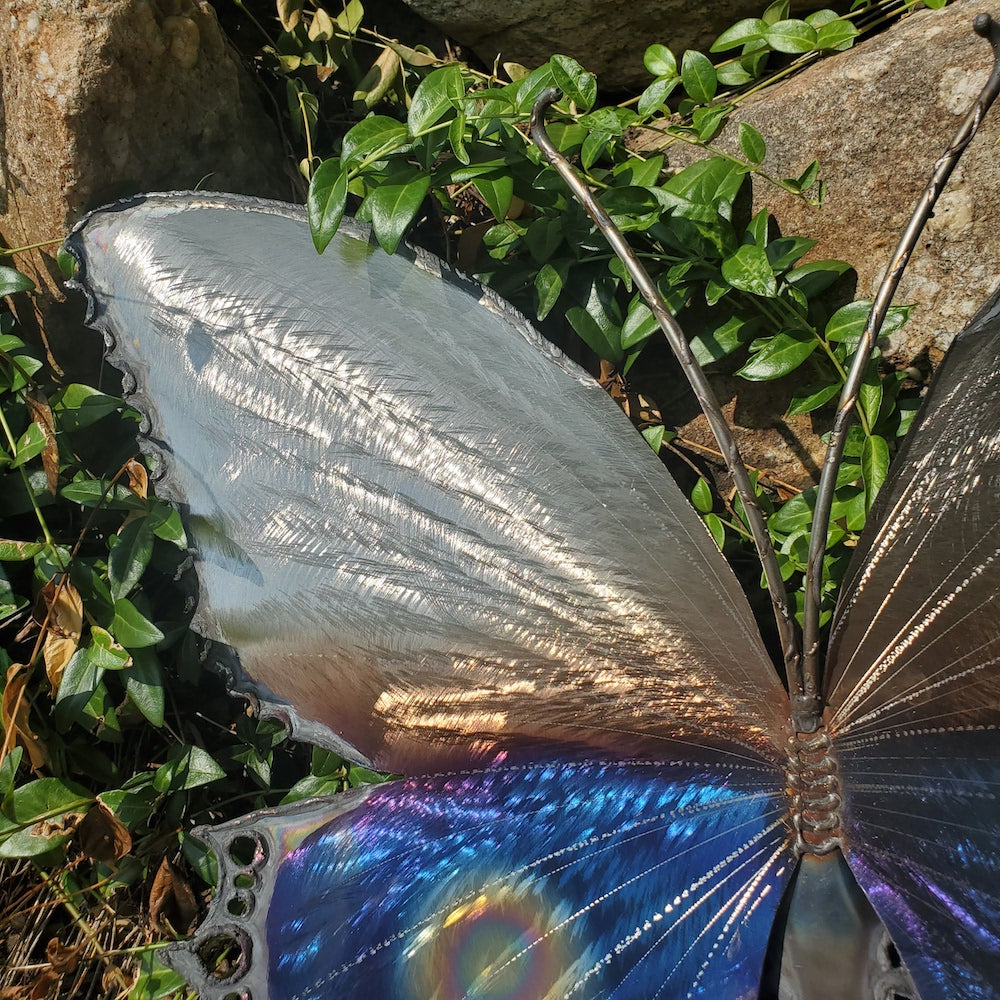 Blue Butterfly Eye Spot Medium Wall Sculpture - Heart of the Home PA