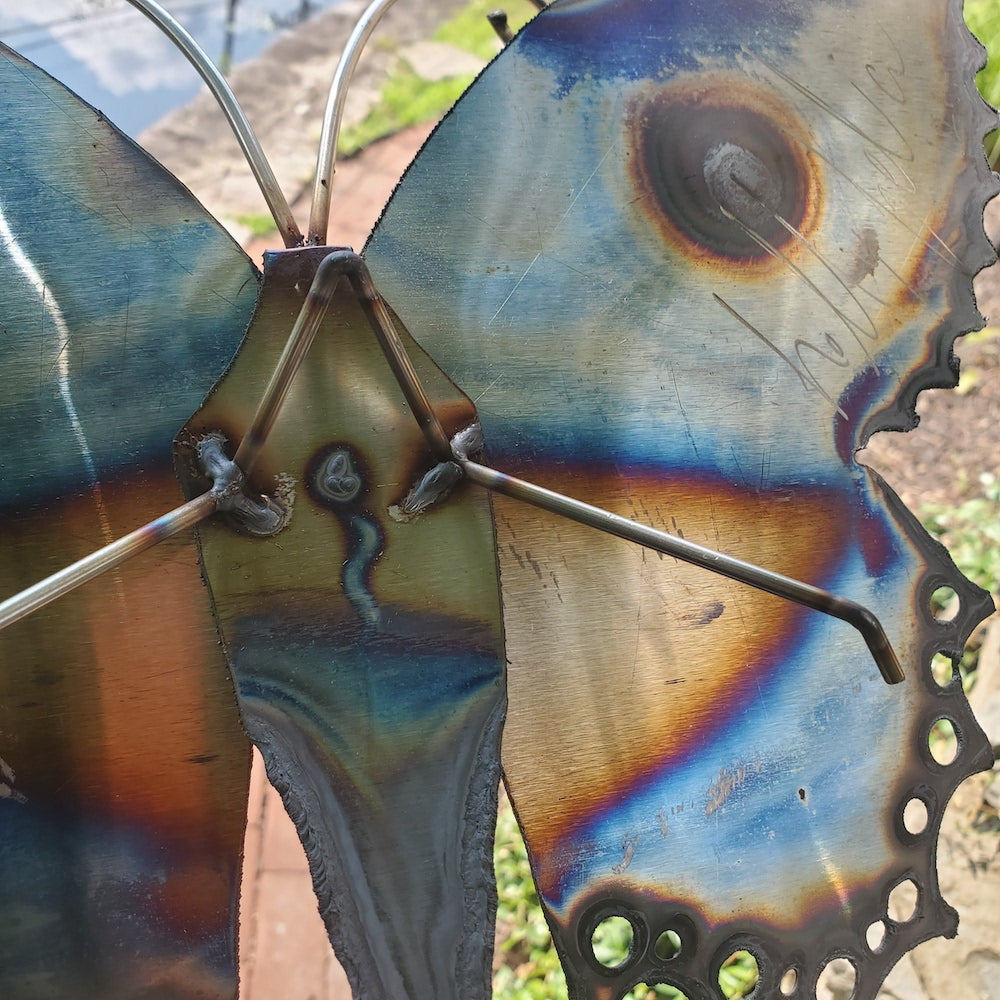 Small Lace Edge Butterfly Wall Sculpture - Upper Eye Spot - Heart of the Home PA