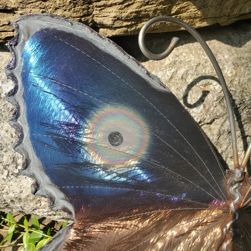 Small Lace Edge Butterfly Wall Sculpture - Upper Eye Spot - Heart of the Home PA