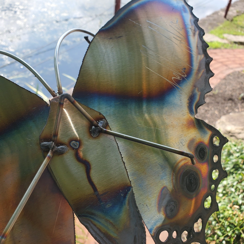 Small Lace Edge Butterfly Wall Sculpture - Dotted Tail - Heart of the Home PA
