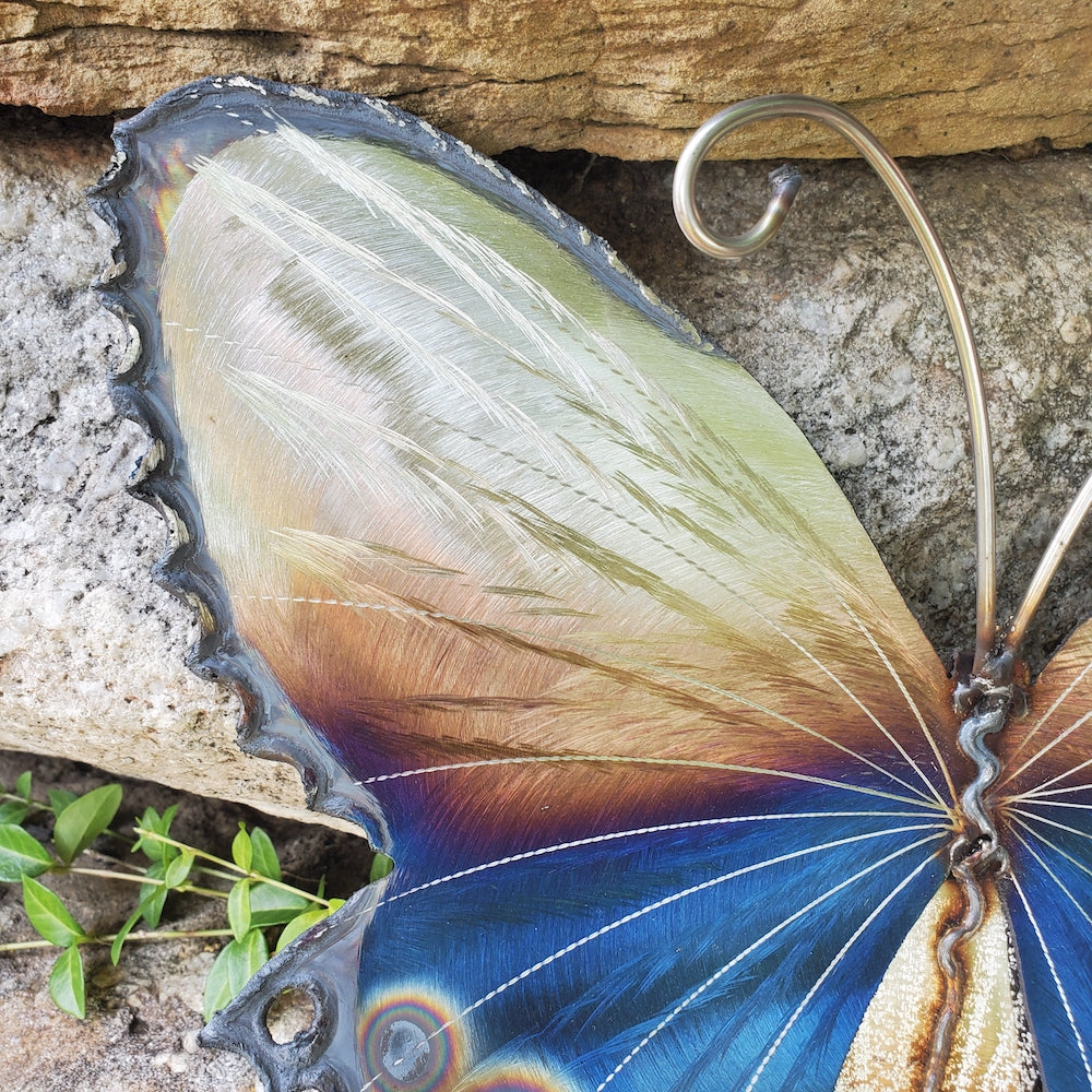Small Lace Edge Butterfly Wall Sculpture - Dotted Tail - Heart of the Home PA