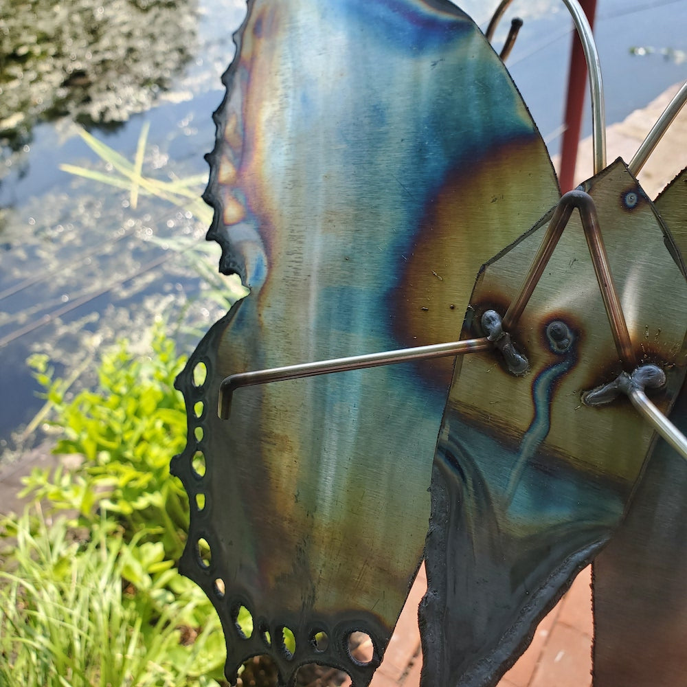 Small Lace Edge Butterfly Wall Sculpture - Light Edges - Heart of the Home PA