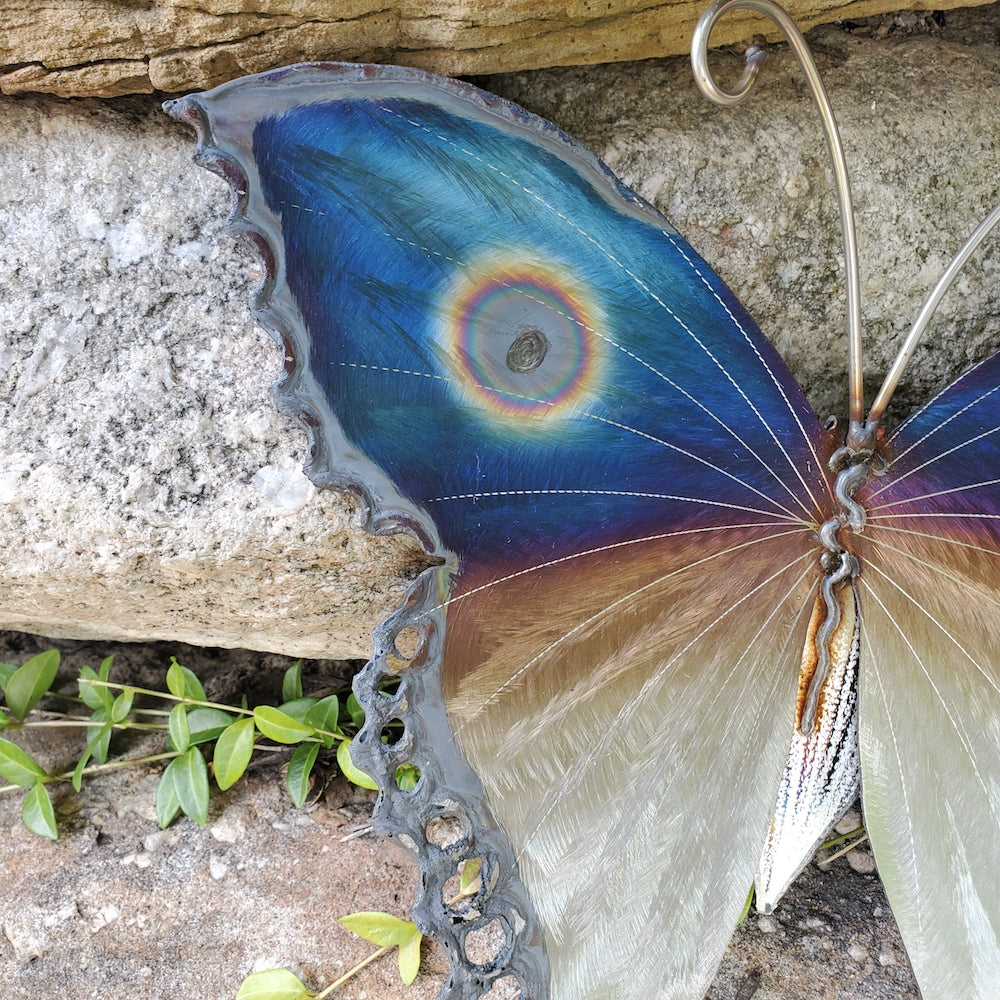 Small Luna Moth Wall Sculpture - Upper Eye Spot - Heart of the Home PA