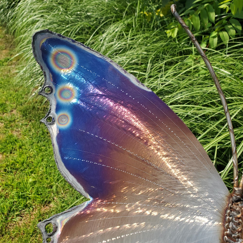 Tiger Butterfly Upper Eye Spots Medium Wall Sculpture - Heart of the Home PA