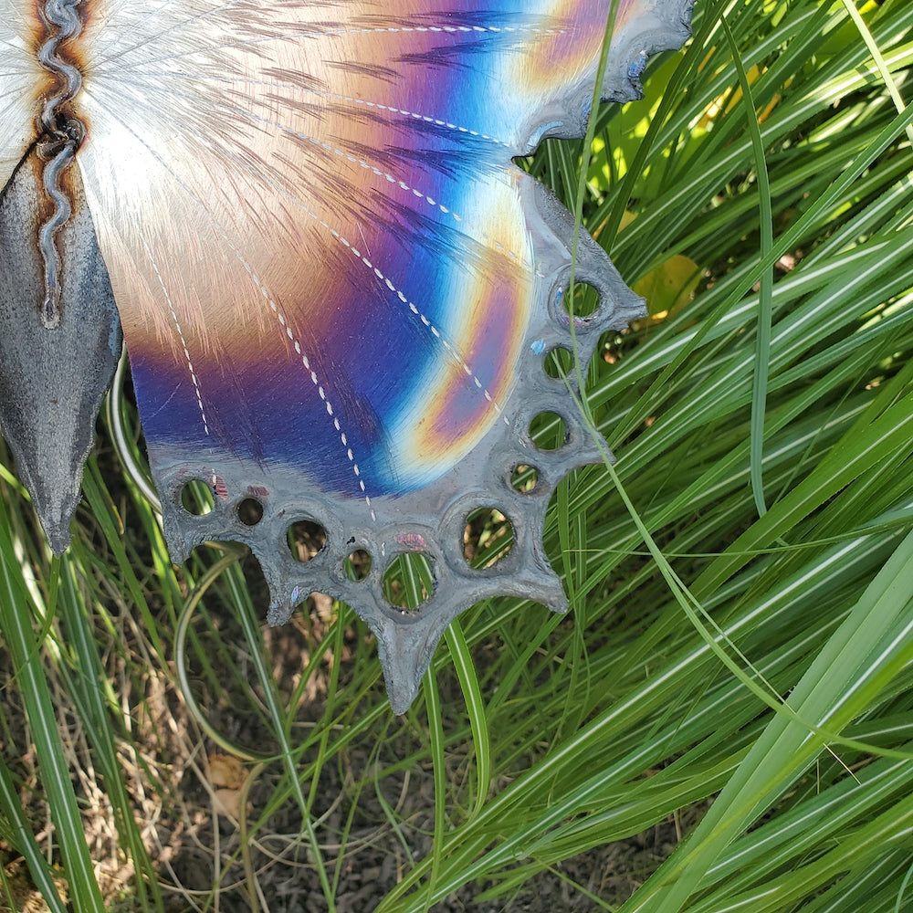 Small Lace Edge Butterfly Garden Stake - Light Edges - Heart of the Home PA