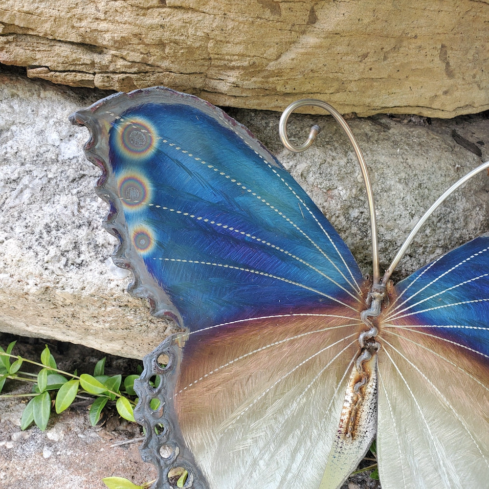Small Luna Moth Wall Sculpture - Dotted Wingtips - Heart of the Home PA