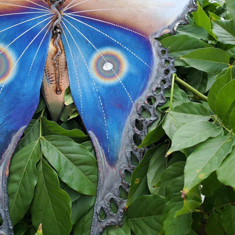 Small Luna Moth Wall Sculpture - Lower Eye Spot - Heart of the Home PA